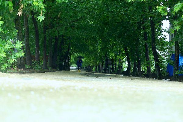 Tüm Karadeniz'de etkisini sürdüren yağışlar Bartın'da da büyük zarara yol açtı.