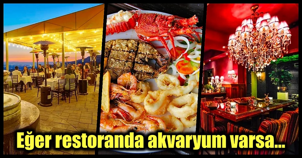 Restoran Seçimi Yaparken Mekanın Kalitesini Ölçmenizi Sağlayarak Paranızın Boşa Gitmesini Önleyecek İpuçları