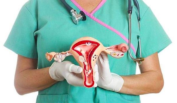 1. İnsan vücudundaki en büyük ve vücutta çıplak gözle görülebilen tek hücre kadınlardaki yumurtadır. Vücuttaki en küçük hücre ise sperm hücresidir.