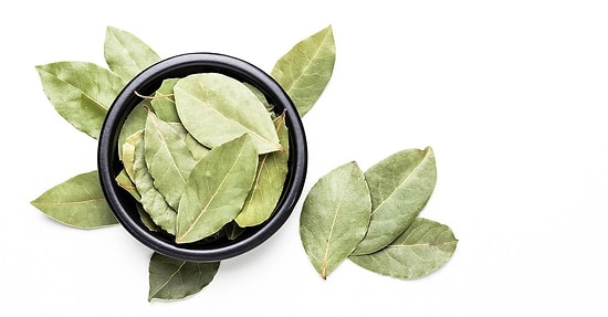 Her Eve Lazım: Defne Yaprağının Vücudunuz İçin Mucizevi Faydaları