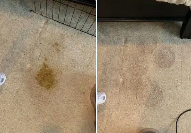 7. Détachant pour les taches de chien indésirables...