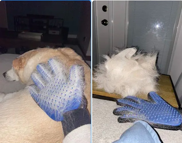10. Gants de collecte de poils de chien pour la santé des chiens...