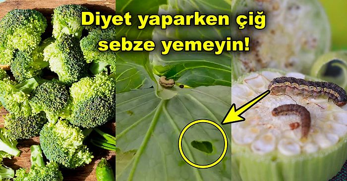 Mide Delinmesine Yol Açıyor! Sağlığımızdan Olmamak İçin Sebzeleri Çiğ mi Yoksa Pişmiş mi Tüketmeliyiz?