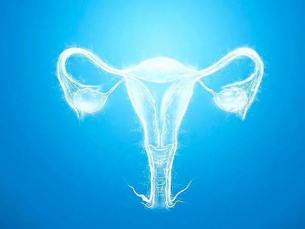Doktorlar genç adama, erkek genital organlarına sahip olmasına rağmen kadın cinsiyet kromozomlarını taşımasının yanı sıra yumurtalık ve rahimle doğduğunu söyledi.