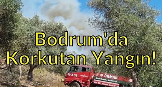 Bodrum'da Korkutan Yangın: Orman ve Makilik Alev Aldı!