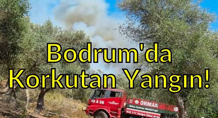 Bodrum'da Korkutan Yangın: Orman ve Makilik Alev Aldı!