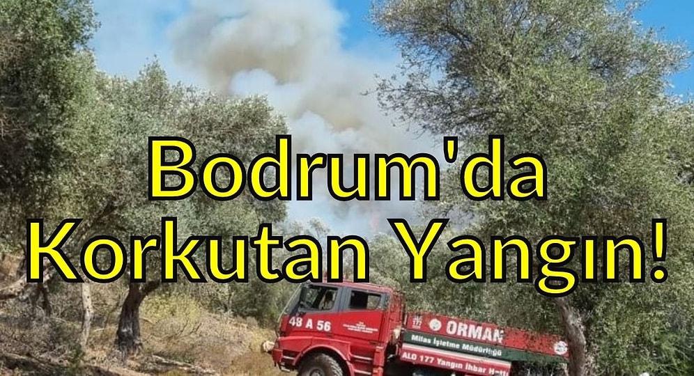 Bodrum'da Korkutan Yangın: Orman ve Makilik Alev Aldı!