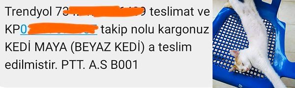 Aşırı tatlı 🥰