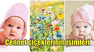 Bebeklere Koyabileceğiniz Cennet Köşesinden Koparak İsme Dönüşen Çiçeklerinin İsimleri ve Anlamları