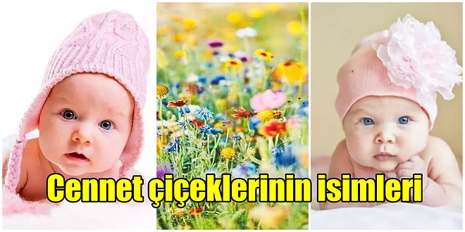 Bebeklere Koyabileceğiniz Cennet Köşesinden Koparak İsme Dönüşen Çiçeklerinin İsimleri ve Anlamları