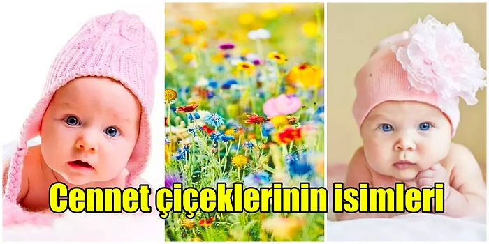 Bebeklere Koyabileceğiniz Cennet Köşesinden Koparak İsme Dönüşen Çiçeklerinin İsimleri ve Anlamları