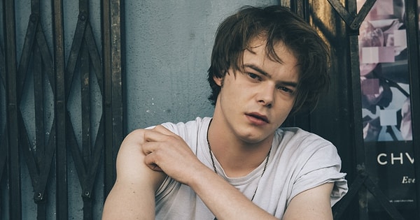 9. Charlie Heaton ($4 Million)