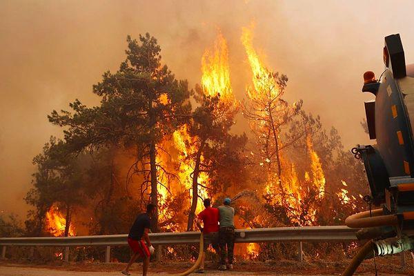 Datça ve Çeşme'de çıkan orman yangınları, geçtiğimiz yıl olduğu gibi bu yıl da hepimizi kahretti...