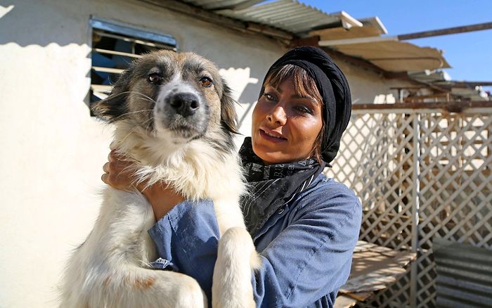 Evcil Hayvanınız Sizi Hapse Sokabilir: İslam Devrimi Köpeklerin de Hayatını Değiştirdi