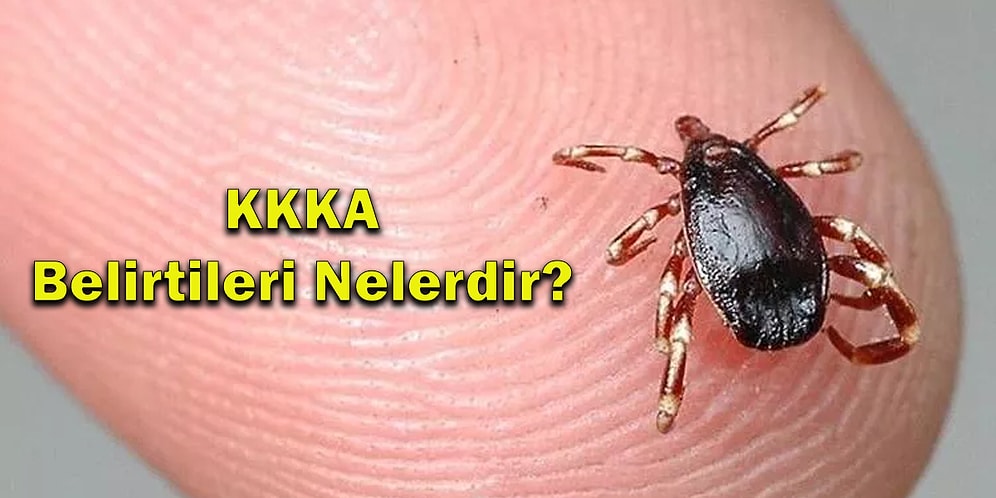 Çankırı'da Bir KKKA Vakası Daha Ölümle Sonuçlandı! Kene Isırdığında Ne Yapılmalı?