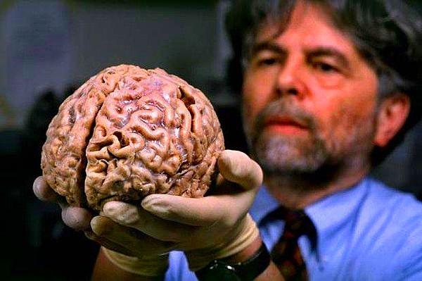 11. Yapılan araştırmalara göre birinin kafası kesildikten sonra beyin birkaç saniye boyunca bilinci korur.