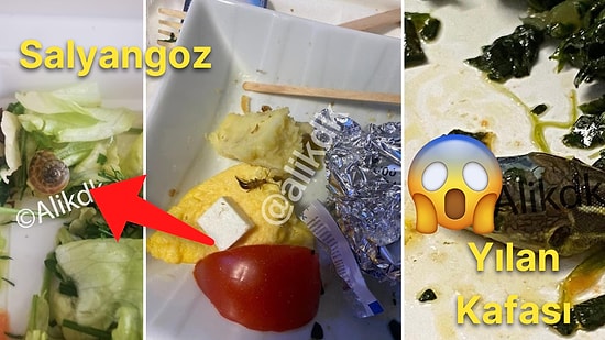 Bir Havayolu Şirketinin Uçakta Dağıtılan İkramlarının İçinden Yılan Kafası, Salyangoz ve Böcek Çıktığı İddiası