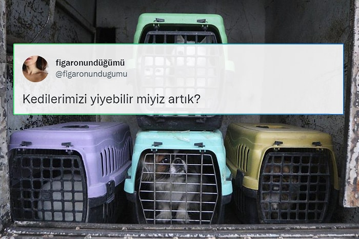 Bu da Oldu: Petshoplar Kasaplar Odası'na Bağlandı!