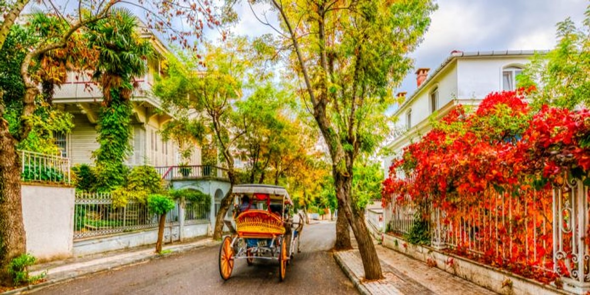 İstanbul Anadolu Yakası’nda Harika Bir Gün Geçirme Garantili ...