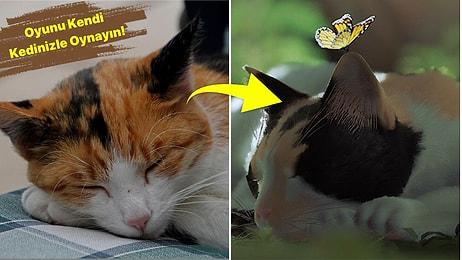 Stray'i Kendi Kedinizle Oynayın: Kedinizi Stray'in Ana Karakteri Yapabileceğiniz Ücretsiz Modlar