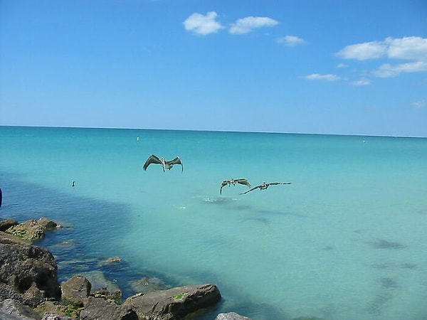 13. На дне океана вы почувствуете вес, эквивалентный весу 50 пассажирских самолетов