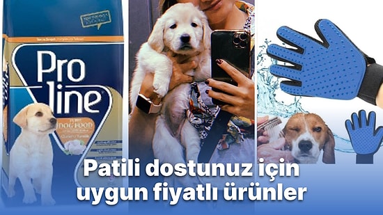 Yavru Köpek Sahiplerinin Uygun Fiyata Alabilecekleri Pati Ürünleri