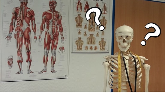 Тест: Как хорошо вы знаете собственный организм?