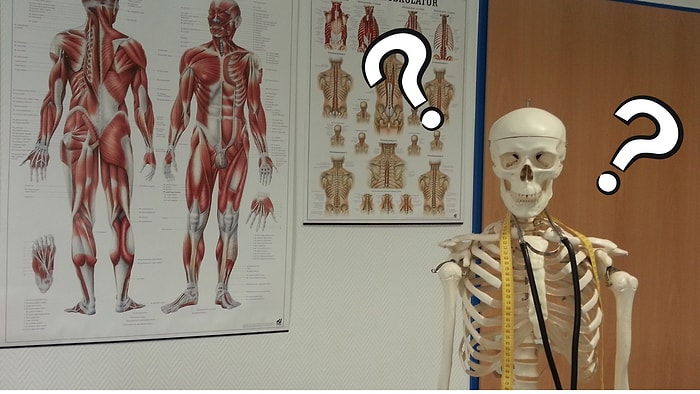 Тест: Как хорошо вы знаете собственный организм?