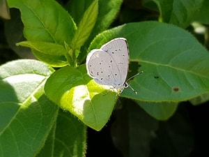 OCREATUS Profil Resmi