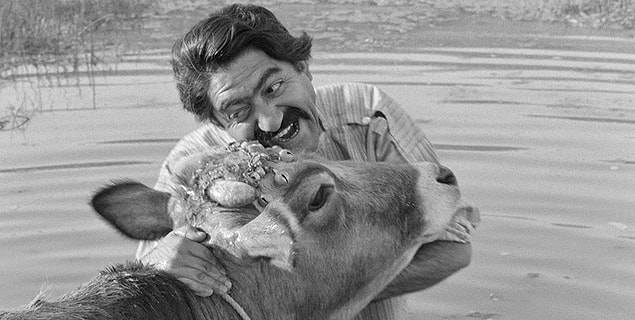 1 Ağustos - Gaav (1969)