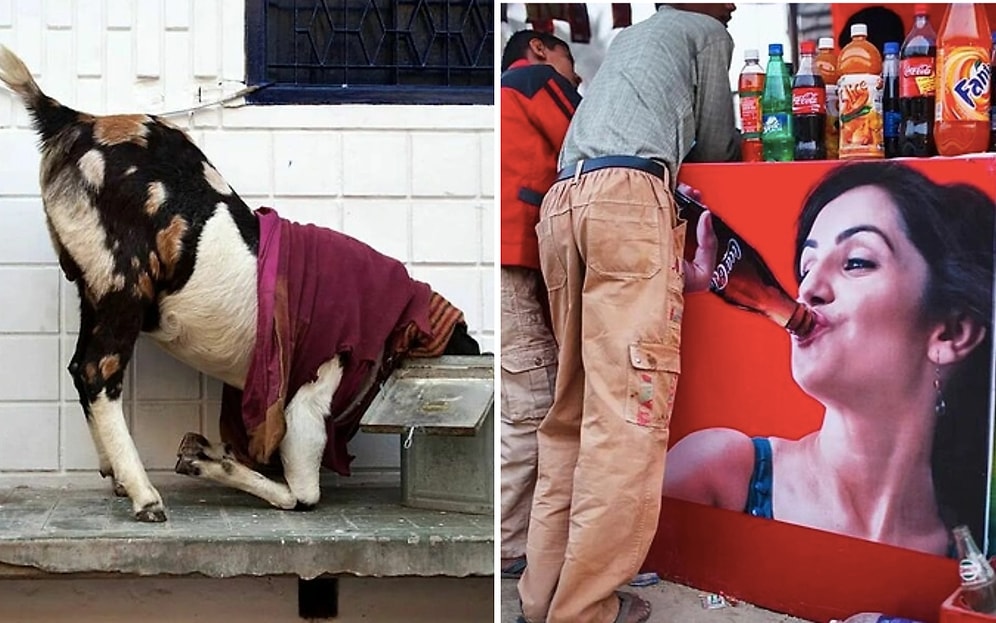 Ученый, ставший фотографом, снимает ироничные повседневные моменты, и вот, что у него получилось