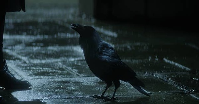 6. Matthew the Raven rolüyle Patton Oswalt