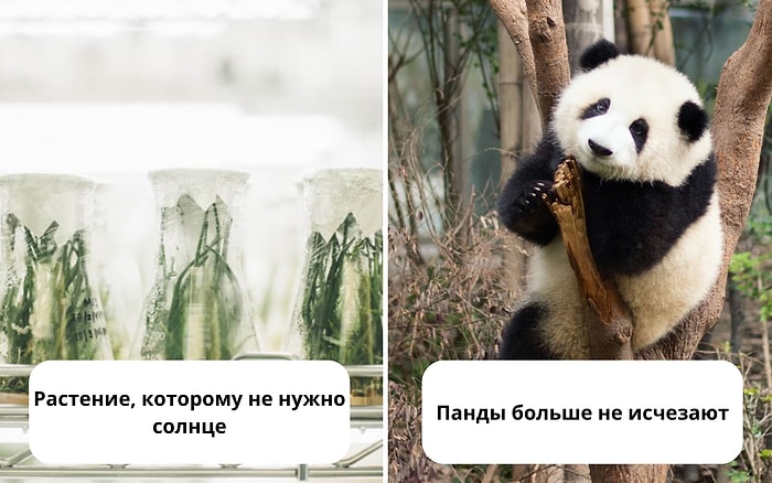 15 ответов на вопрос “Что хорошего происходят в мире прямо сейчас?”