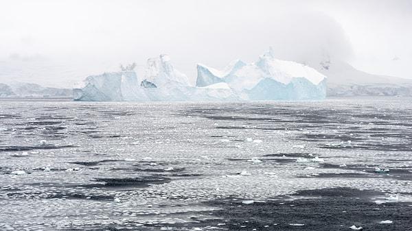 9. Dünya üzerindeki tatlı suyun çoğu Antarktika'da yer alır.