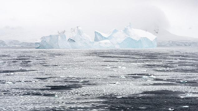9. La majeure partie de l'eau douce sur terre se trouve en Antarctique.