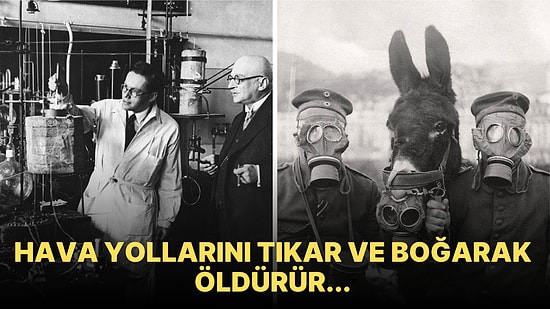 İnsan Irkını Yok Olmaktan Kurtarıp Milyonların Ölümünden Sorumlu Olan Bilim İnsanının Trajik Hikayesi