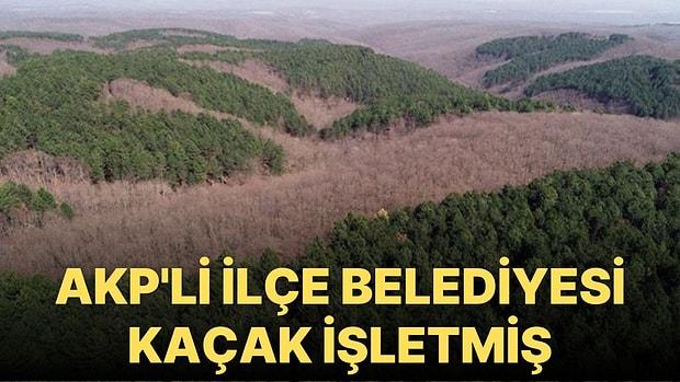 Gaziantep'te Ormanların Katledilmesine İzin Vermeyen Orman İşletme Şefi Görevden Alındı