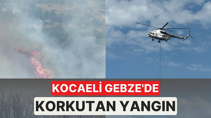 Kocaeli Gebze'de Ormanlık Alan Alev Aldı! Havadan ve Karadan Müdahale Sürüyor