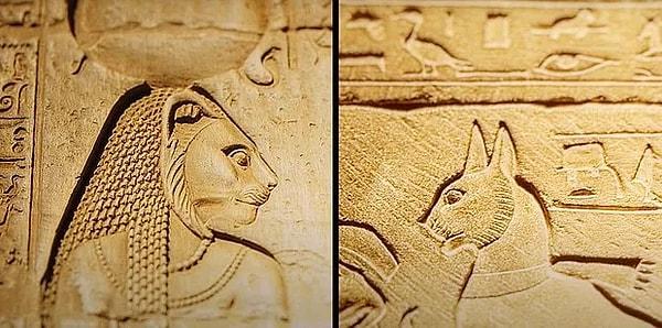 Peki Antik Mısır’da “evcilleştirilmeye” başlanan kediler bizim coğrafyamıza kadar nasıl geldiler?