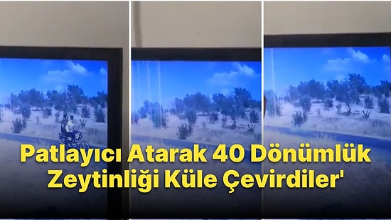 Nesin Matematik Köyü’nün 40 Dönümlük Zeytinliği Yandı: Motosikletten Patlayıcı Atan 2 Kişi Anbean Kaydedildi