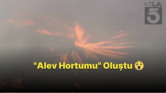 Kaliforniya'daki Orman Yangınında 'Alev Hortumu' Oluştu: O Anlar Anbean Kaydedildi