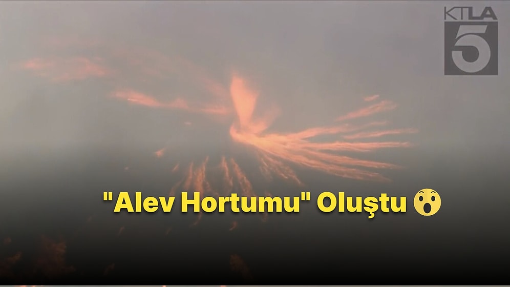 Kaliforniya'daki Orman Yangınında 'Alev Hortumu' Oluştu: O Anlar Anbean Kaydedildi
