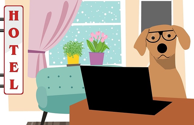 Pet Friendly otel nedir?