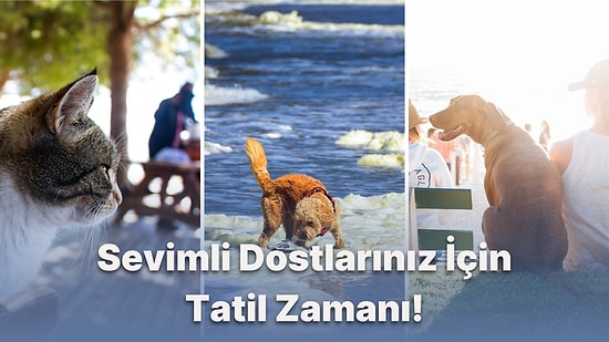 Sen Tatildeyken Evcil Hayvanın da Tatil Yapsın! Pet Friendly Otel Nedir?