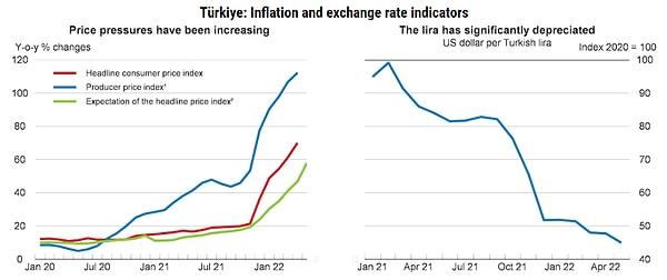 OECD verilerinde Türkiye'de TÜFE, ÜFE ve beklentilerle TL'de değer kaybı da dikkat çekici