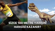 Bir Dilophosaurus ve Usain Bolt Yarışsa Kazanan Kim Olurdu?