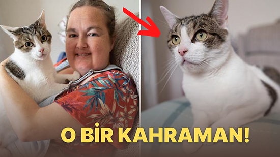 Miyavlayarak Uyandırmış! Uykusunda Kalp Krizi Geçirirken Kedisi Tarafından Hayatı Kurtarılan Kadın