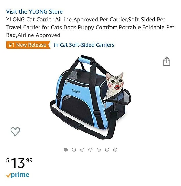 17. Минуточку....у этой кошки макияж?