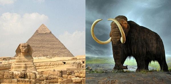 2. Mısır'da piramitler inşa edilirken mamutlar hala hayattaydı.