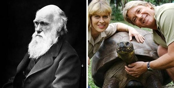 3. 2006 yılında hayatını kaybeden kaplumbağa Harriet, Charles Darwin tarafından muayene edilmişti.